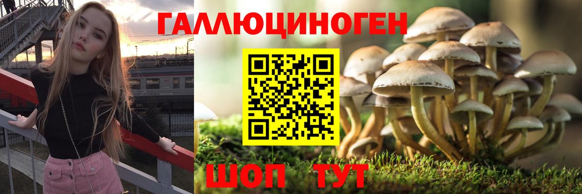 Галлюциногенные грибы прущие грибы  Вход с VPN  Галлюциногенные грибы Cubensis  Дмитров 